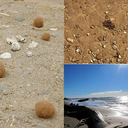 Le Casette Di Fra Al Bondi Santa Severa